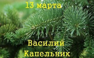 Сколько осталось до праздника Василий капельник