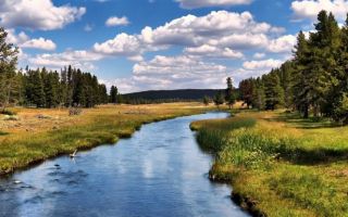 Сколько осталось до Международного дня рек