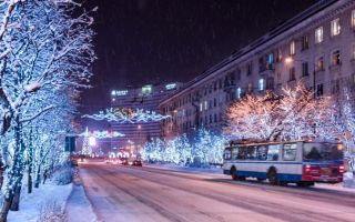 Сколько дней осталось до зимы