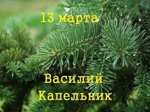 Сколько осталось до праздника Василий капельник